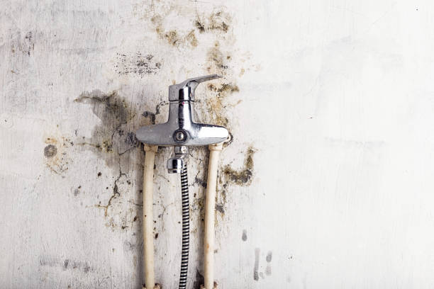 Best Water Damage Restoration  in Dumas, AR