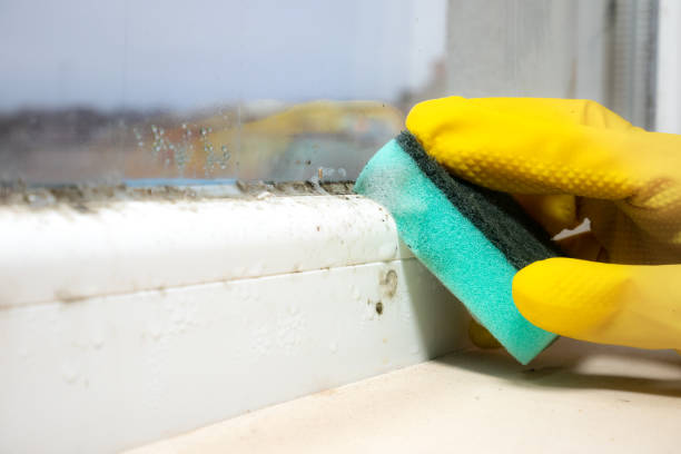 Best Mold Testing  in Dumas, AR