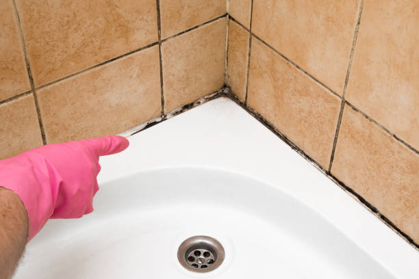 Best Crawl Space Mold Removal  in Dumas, AR